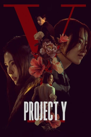 Project Y 2026 Hindi - Korean Dual Audio - DownloadHub - [WEB-DL 720p - 480p - 1080p]